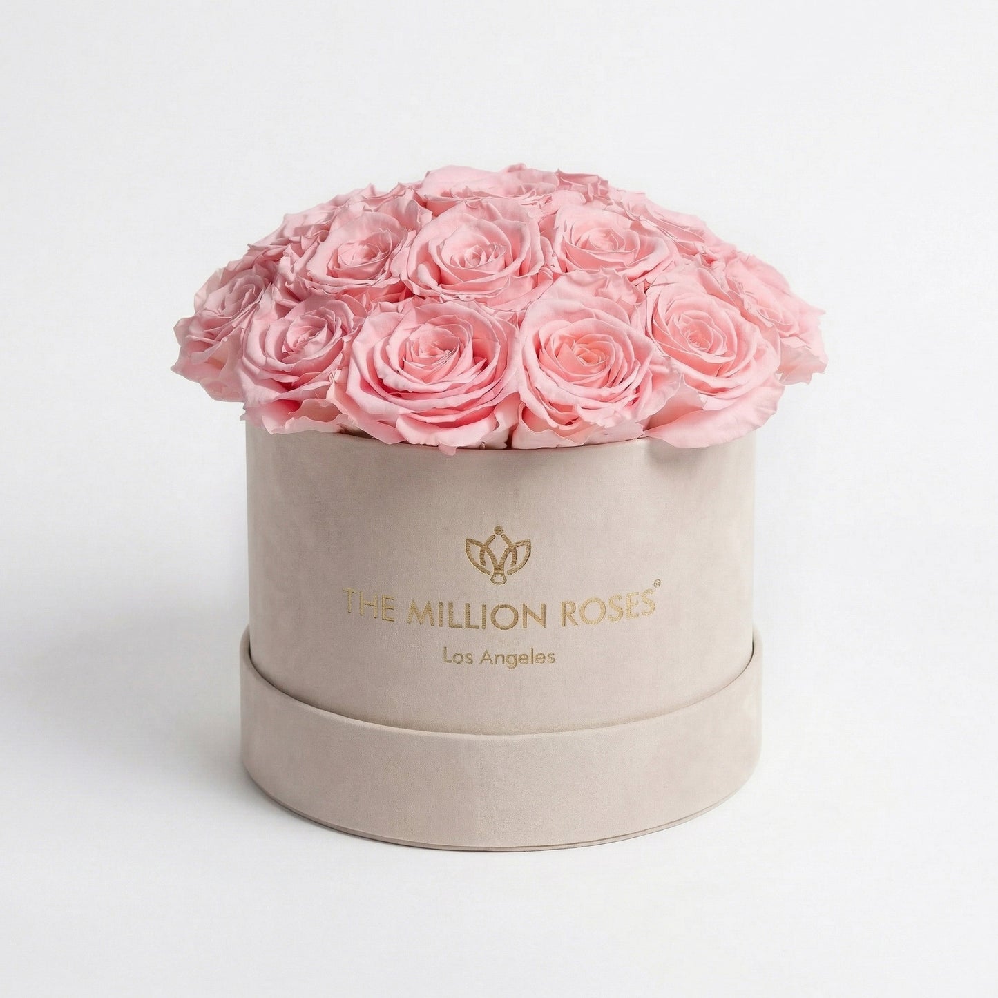 Classic Beige Suede Dome Box | Light Pink Roses