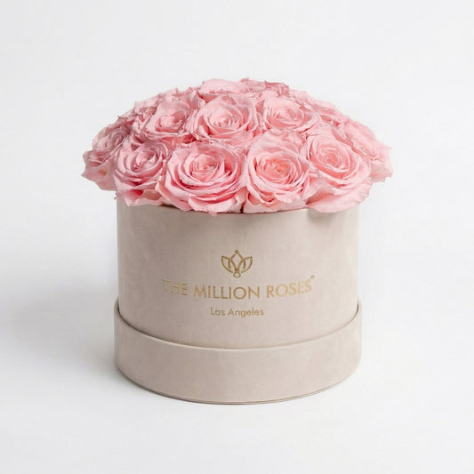 Classic Beige Suede Dome Box | Light Pink Roses