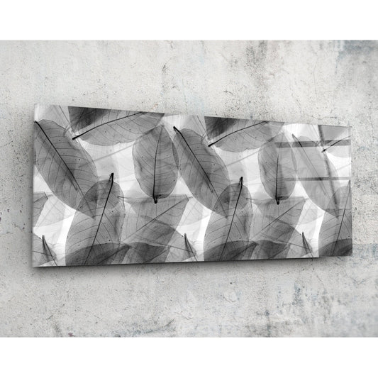 Black - White Leaves Glass Wall Art (36"x14")