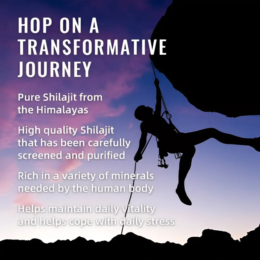 Blueberry Himalayan Shilajit Gummies 60 Count
