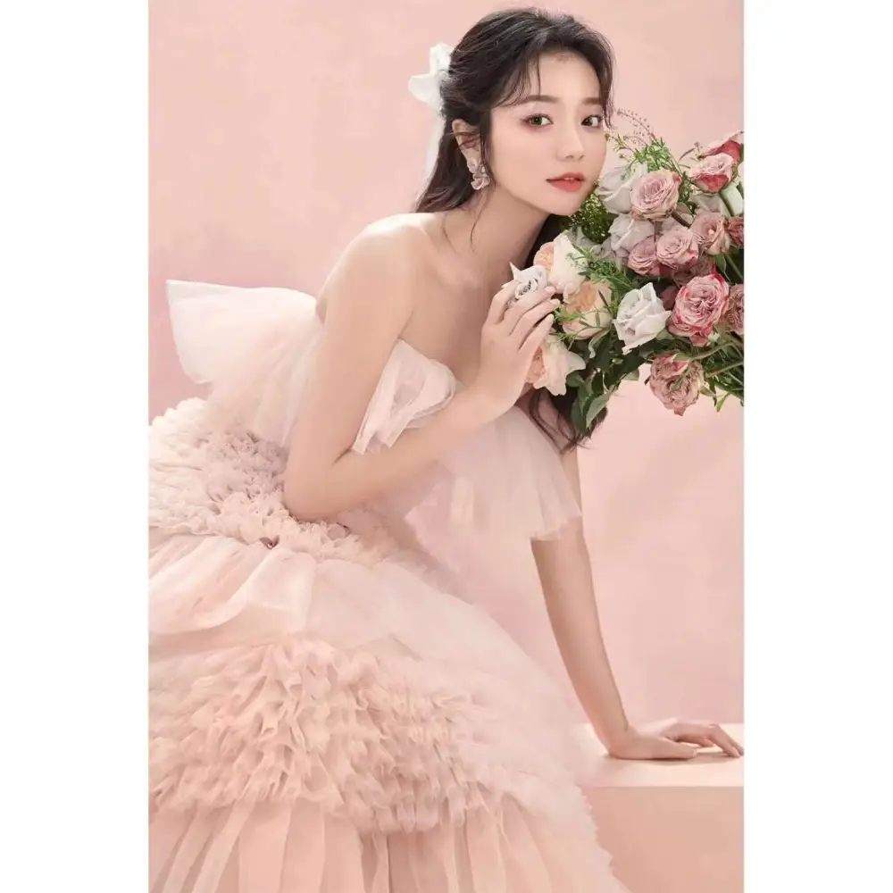 Blush Tiered Photography Pettiskirt Colored Mesh Dress