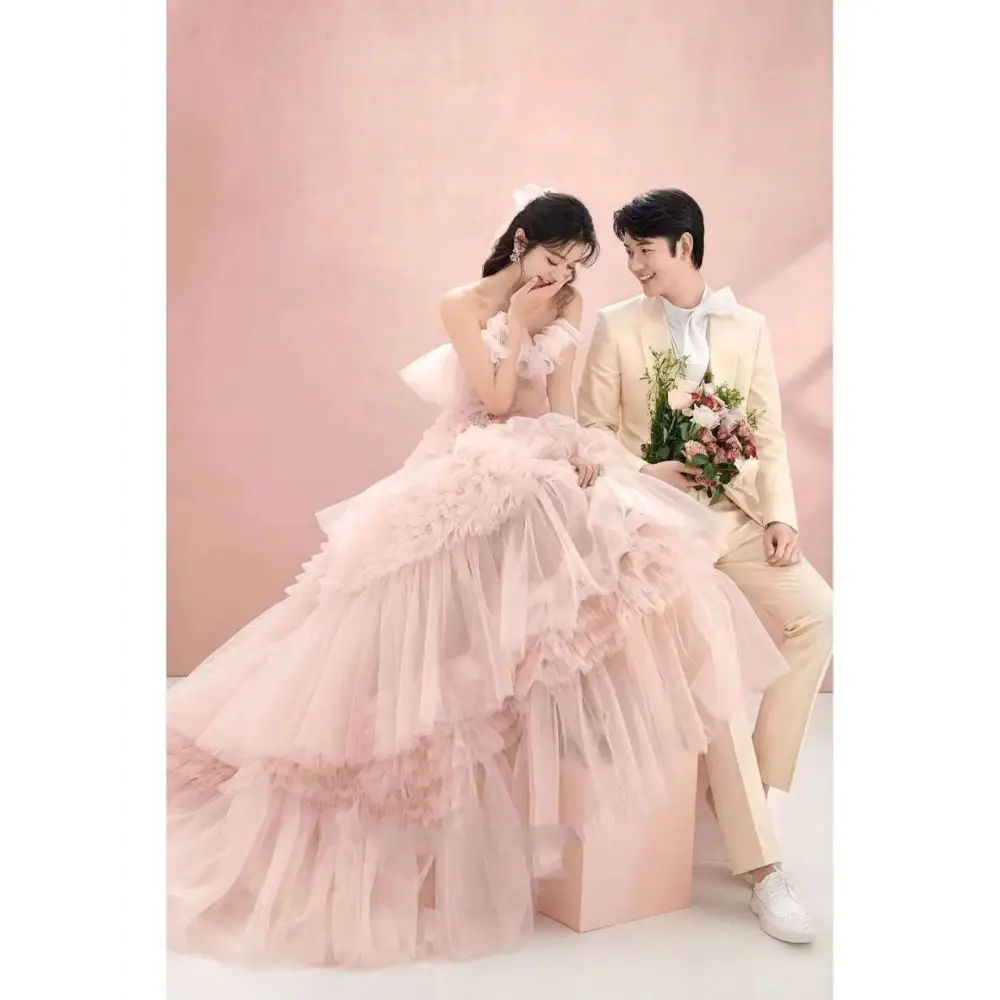 Blush Tiered Photography Pettiskirt Colored Mesh Dress