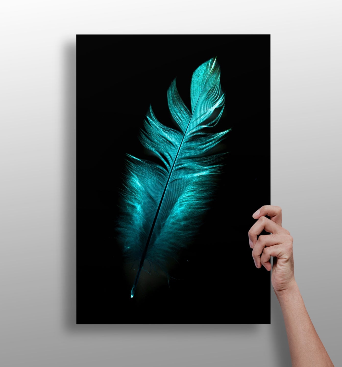 Teal Feather Aluminum Print-0