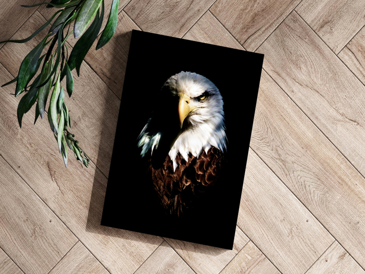 Eagle Aluminum Print