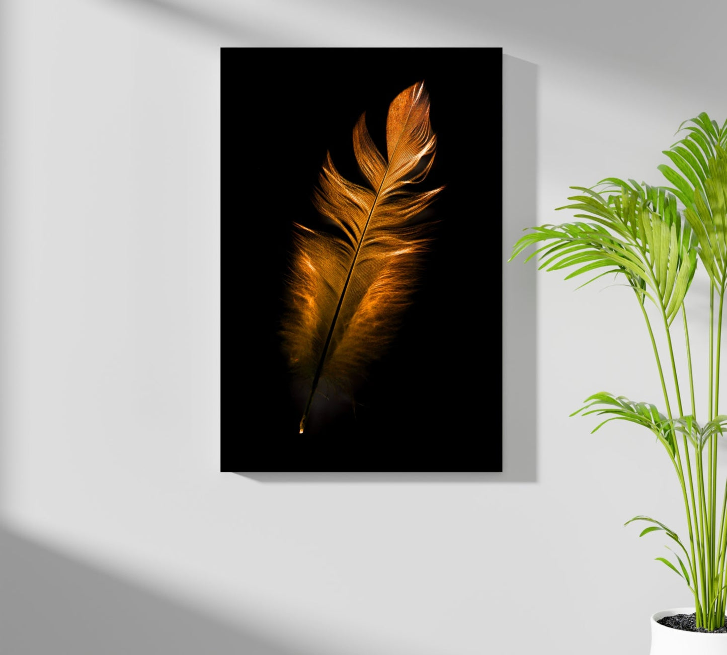 Bronze Feather Aluminum Print
