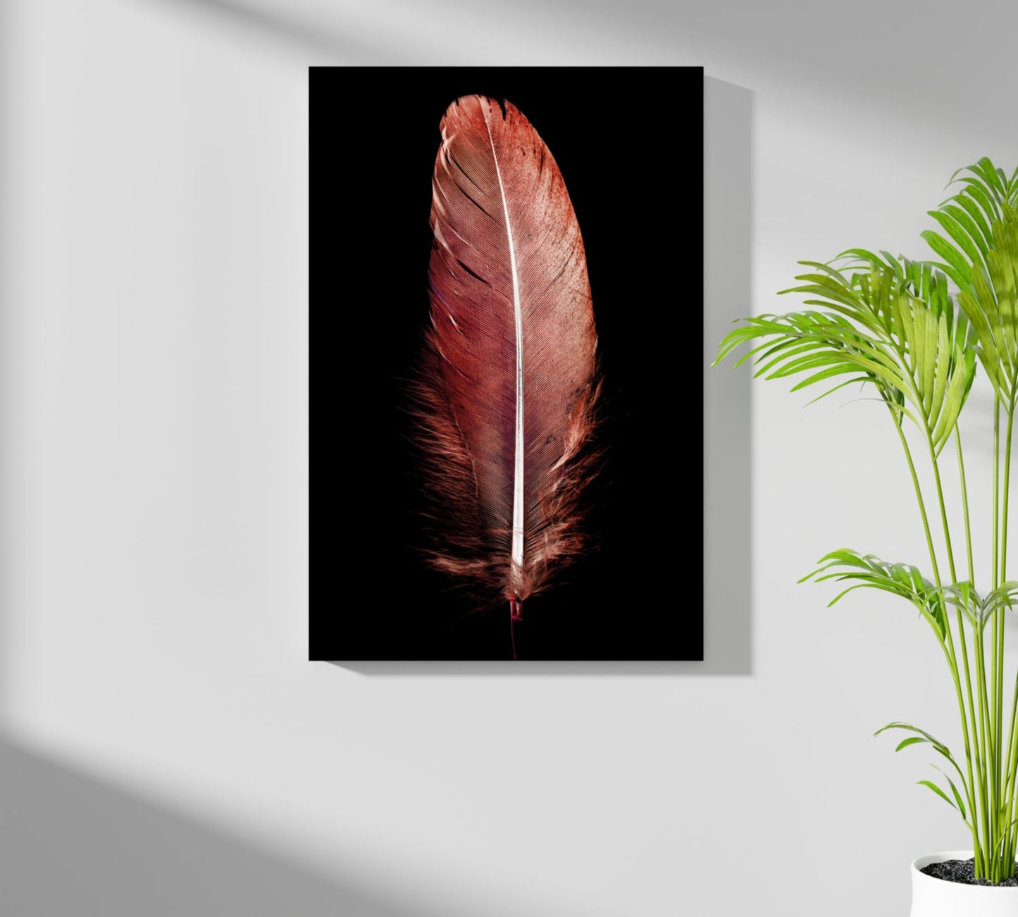 Red Feather Aluminum Print