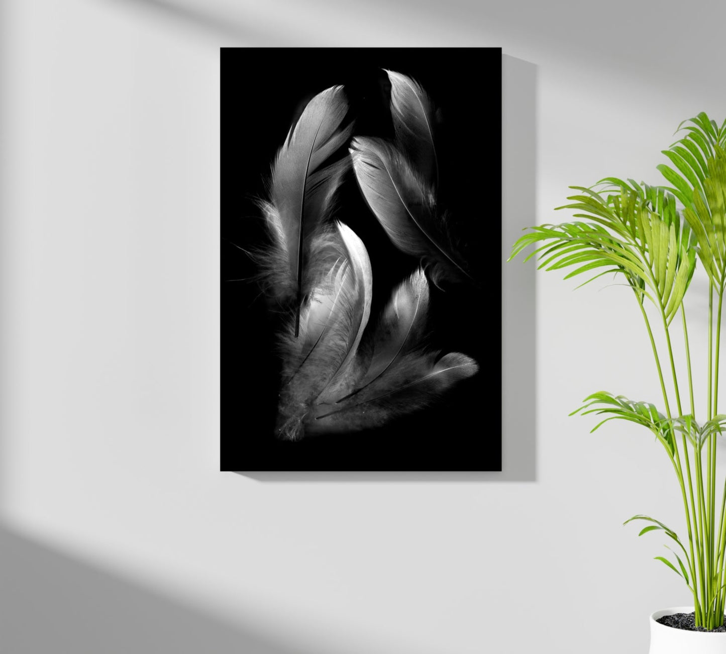 Feathers Aluminum Print