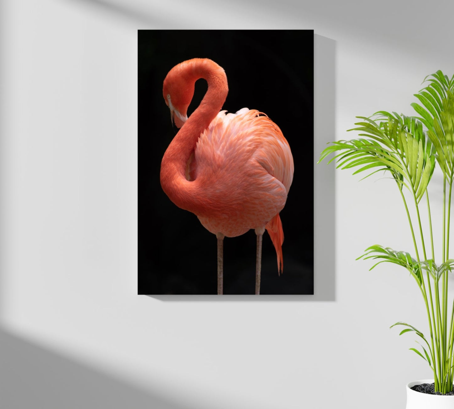Flamingo Aluminum Print