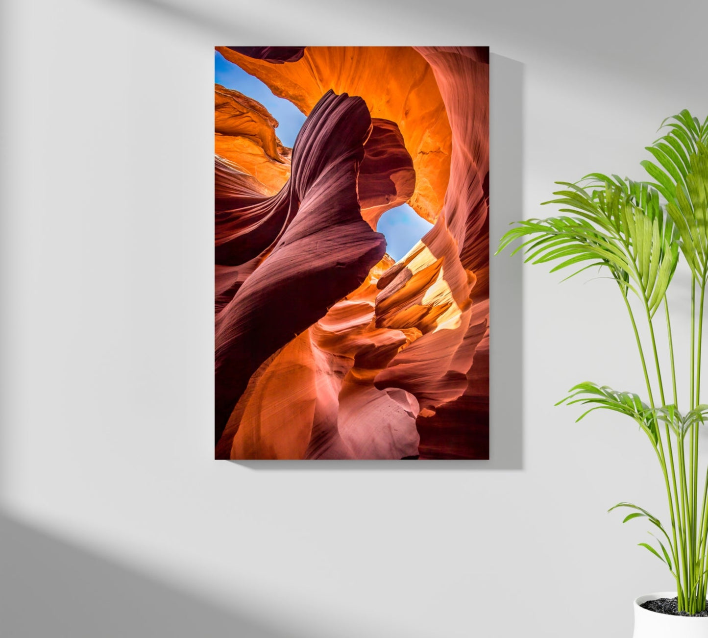 Grand Canyon Aluminum Print