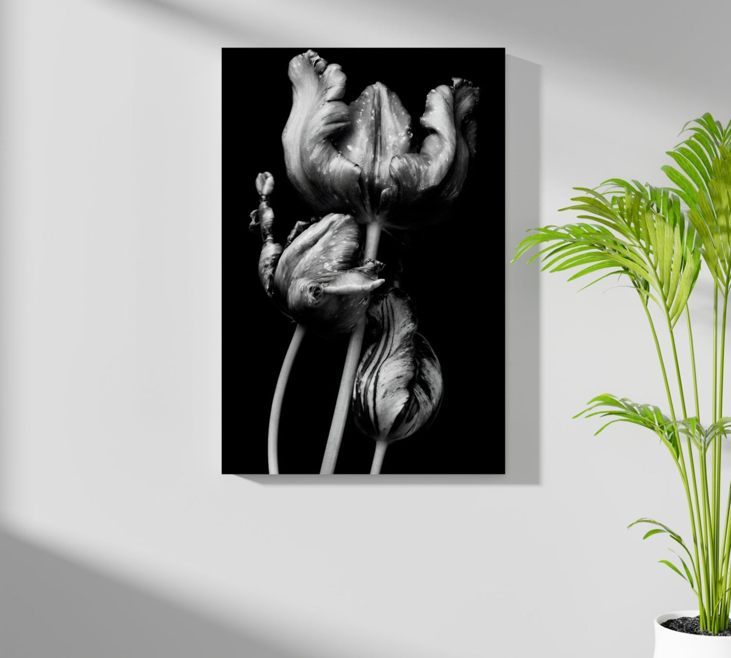 Flowers Aluminum Print