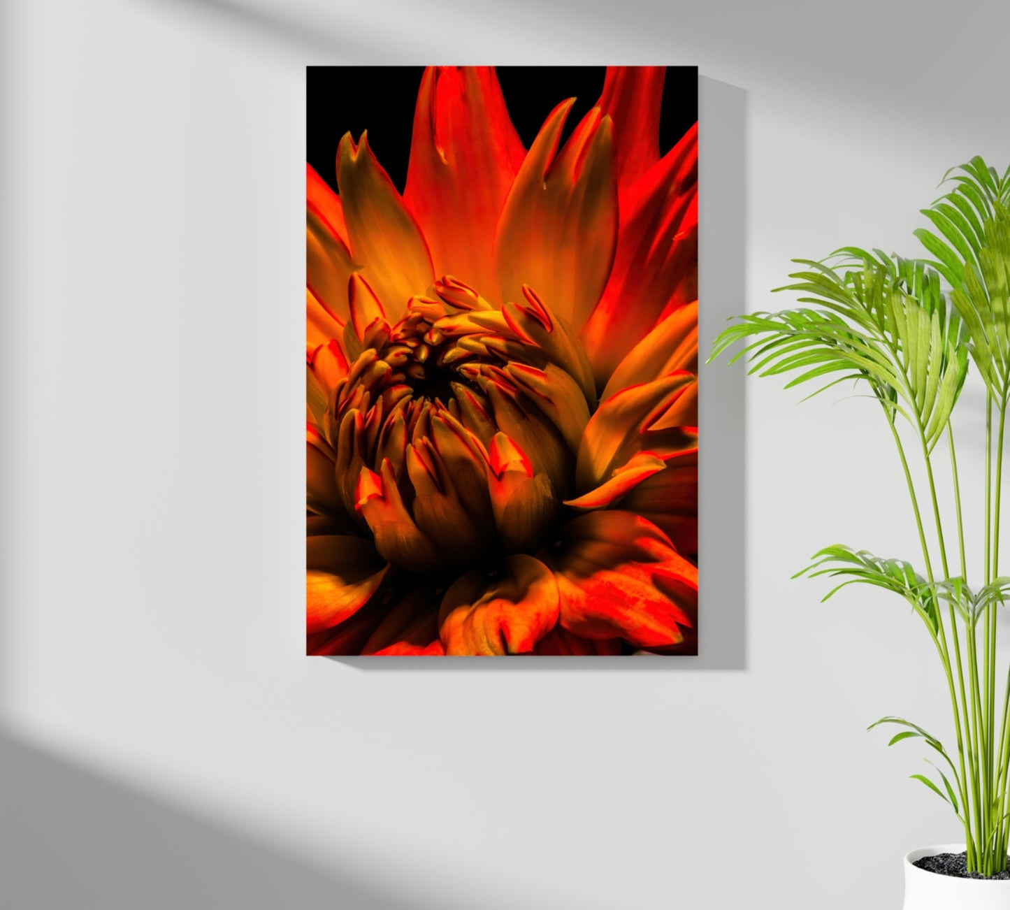 Elderflower Aluminum Print