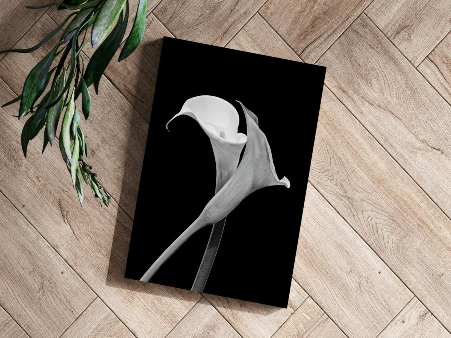 Lilly Flower Aluminum Print