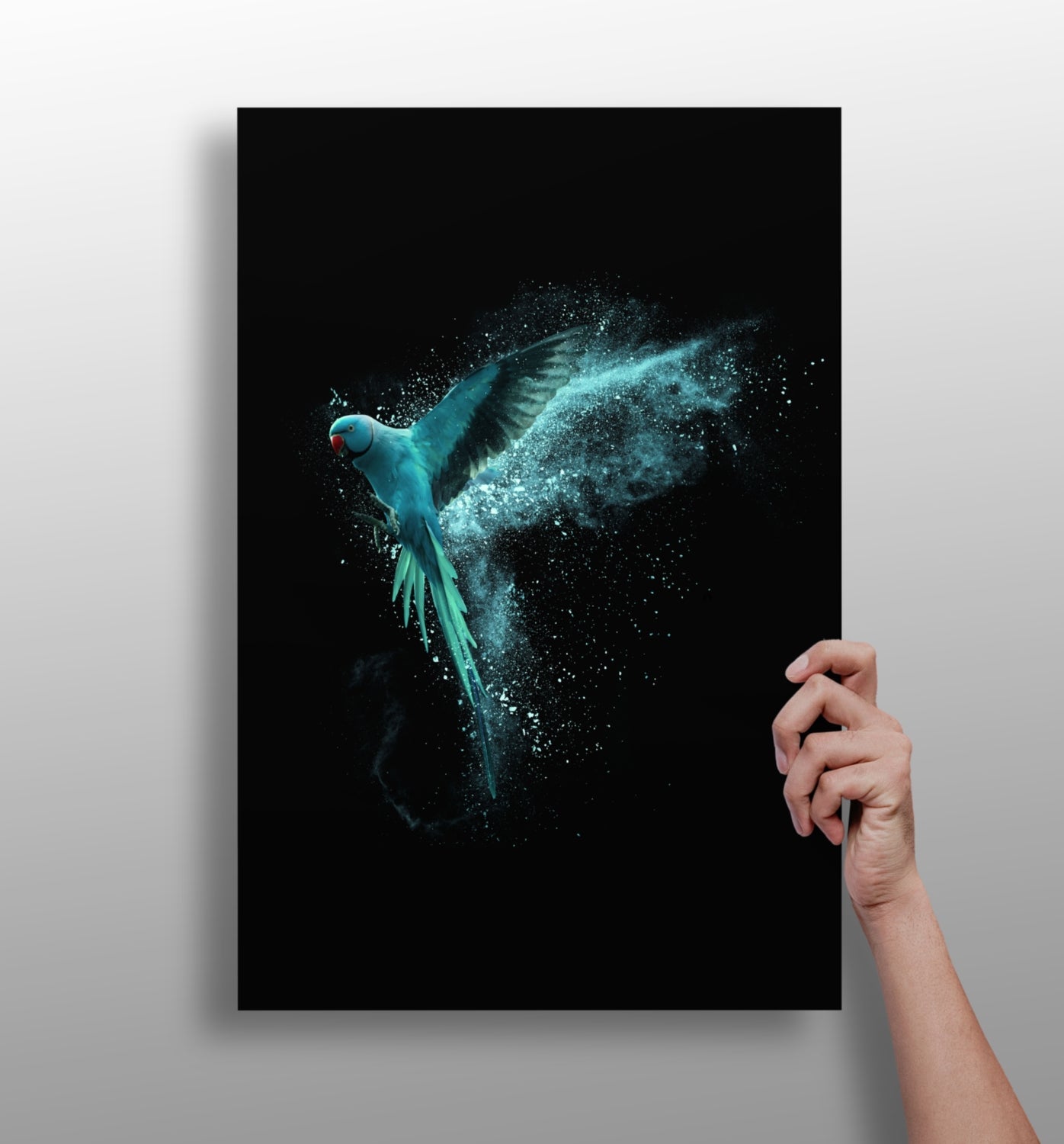 Teal Parrot Aluminum Print-0