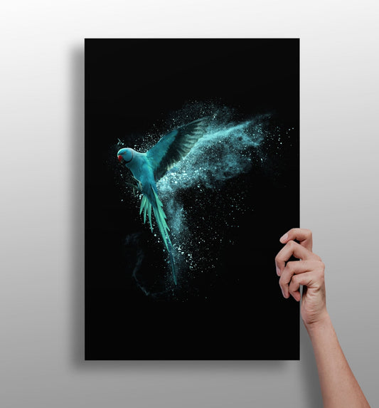 Teal Parrot Aluminum Print-0
