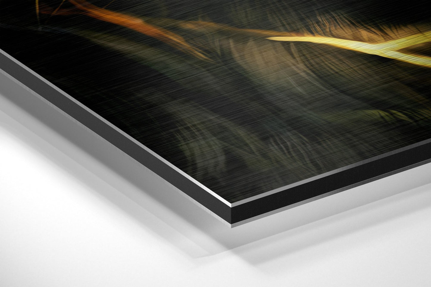 Lion Brushed Aluminium Dibond Wall Art