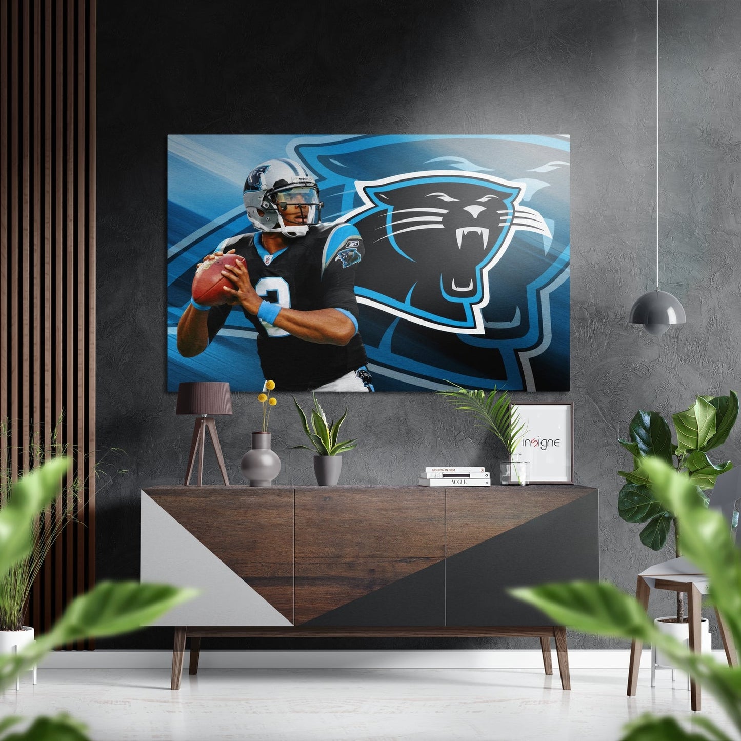 Carolina Panthers Brushed Aluminium Dibond Wall Art