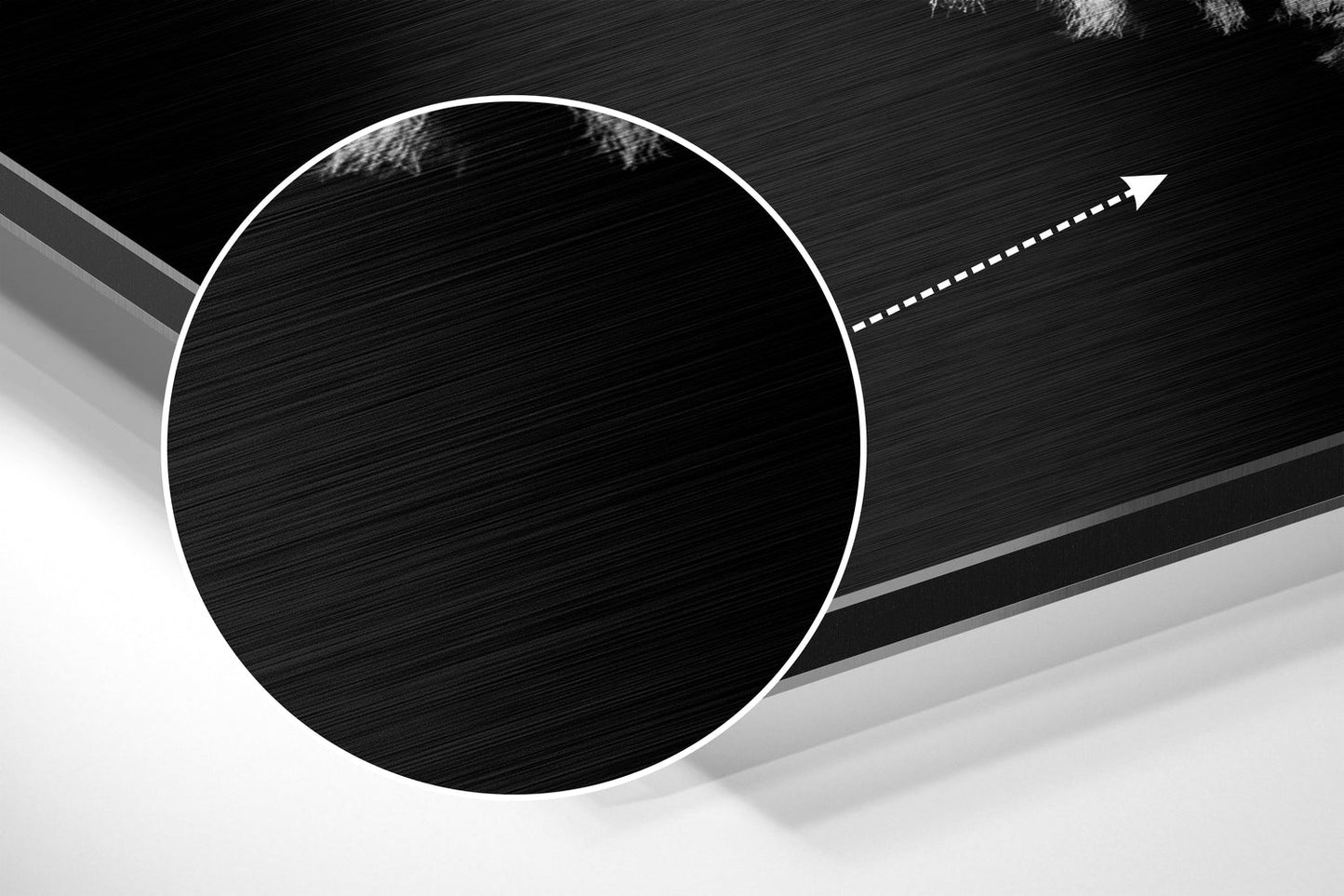 Zebra Brushed Aluminium Dibond Wall Art