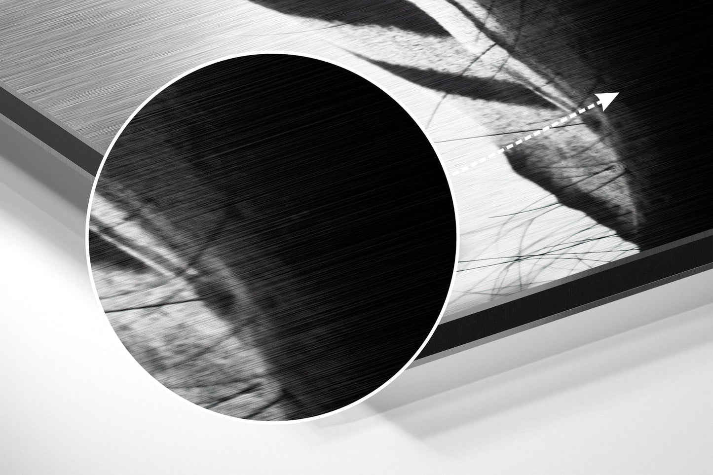 Zebra Brushed Aluminium Dibond Wall Art