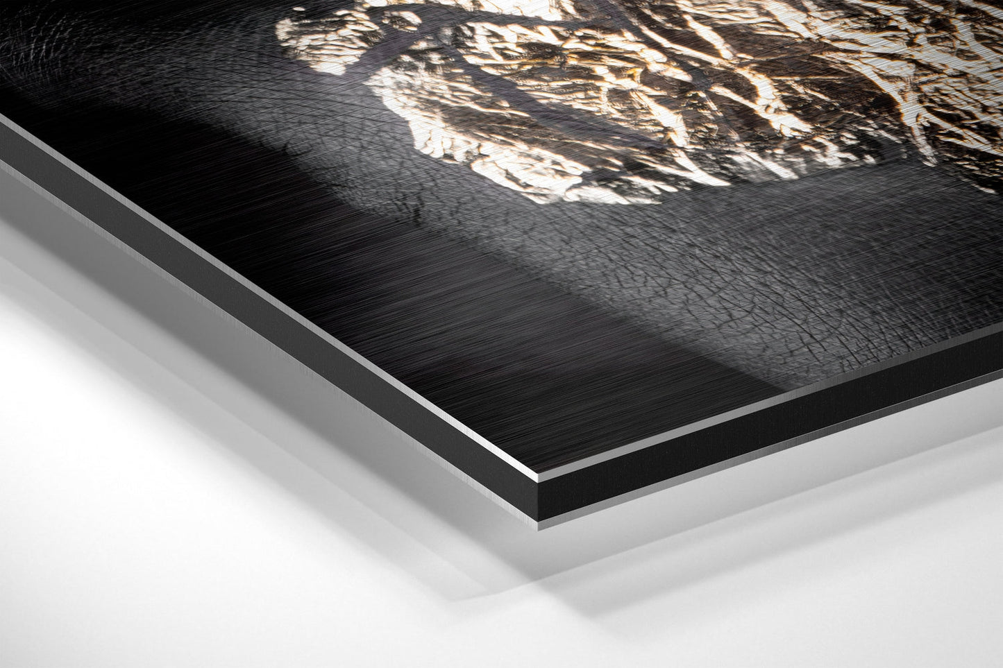 Golden Woman Brushed Aluminium Dibond Wall Art