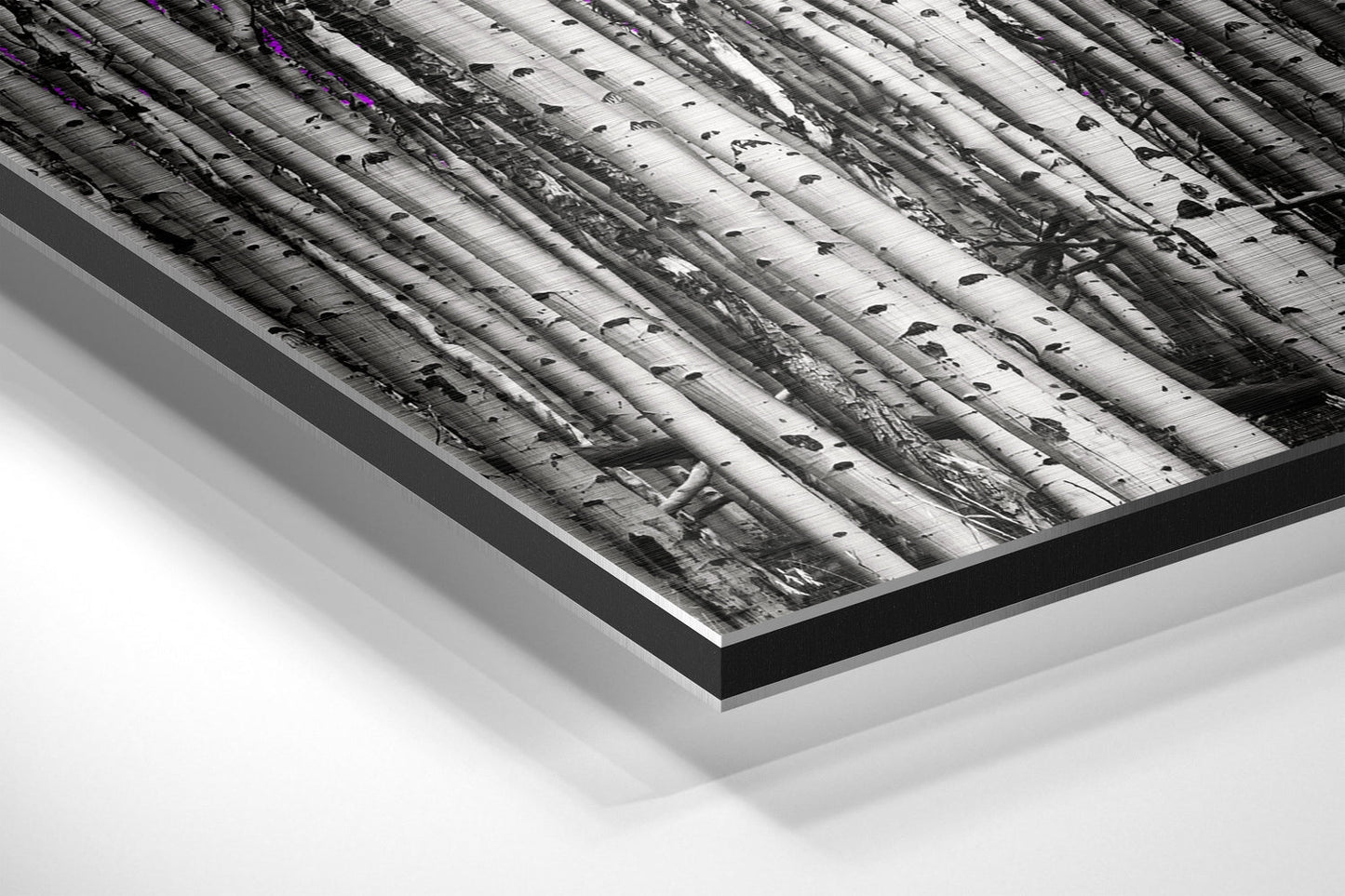 Forest Brushed Aluminium Dibond Wall Art