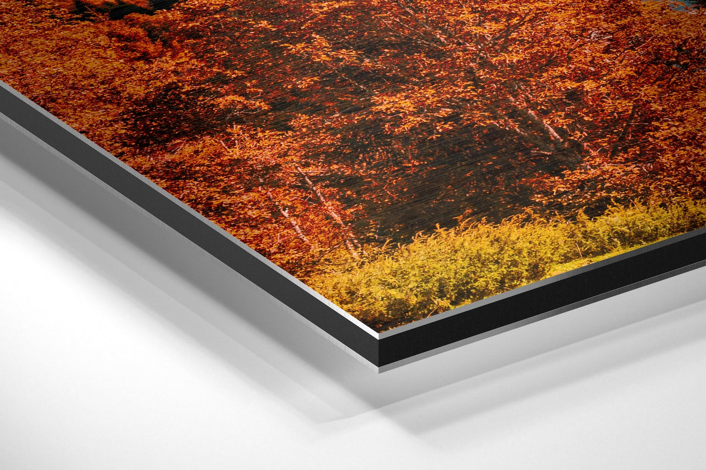 Lake View Brushed Aluminium Dibond Wall Art