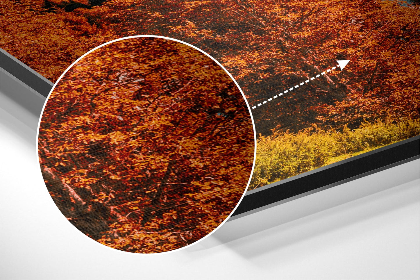 Lake View Brushed Aluminium Dibond Wall Art