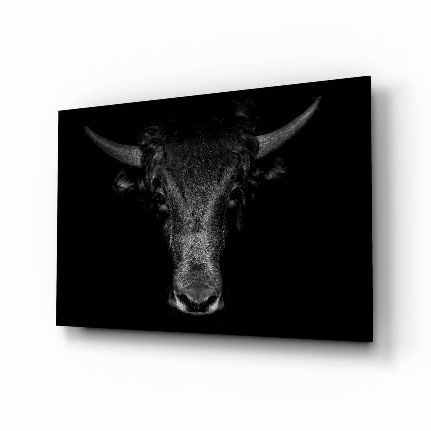 Buffalo Glass Art-0