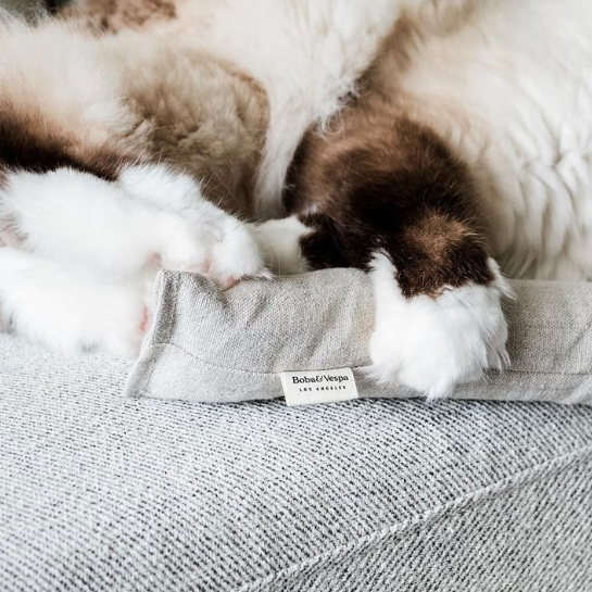 Boba & Vespa Cat Kicker Toy for Bunny Kicks