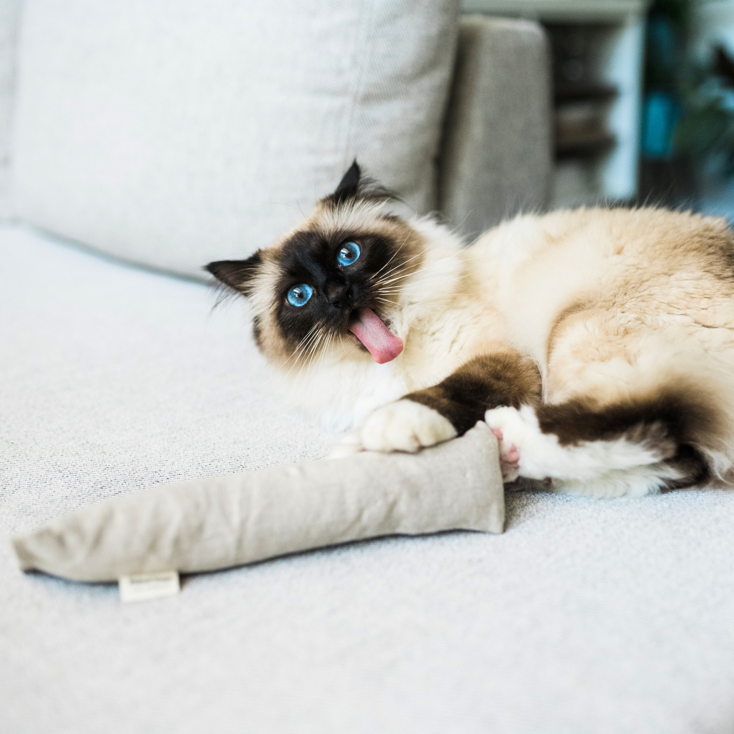 Boba & Vespa Cat Kicker Toy for Bunny Kicks
