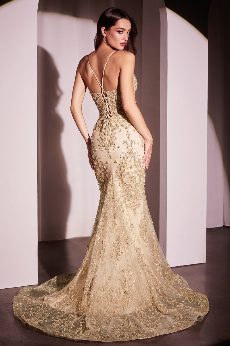 PEARL & LACE EMBELLISHED FIT & FLAR GOWN CDCC2403