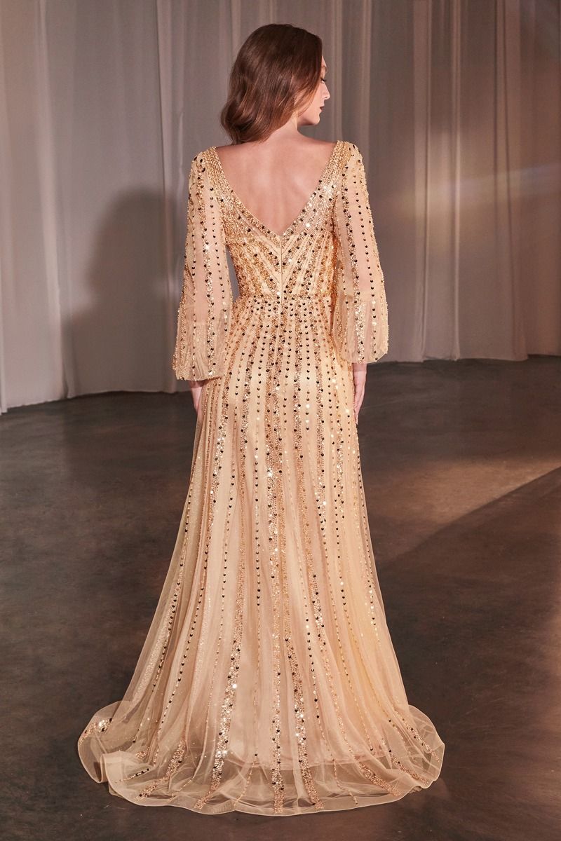 Shimmering V-Neck Long Sleeve A-Line Gown with Sequin Embellishments  CDCD0240