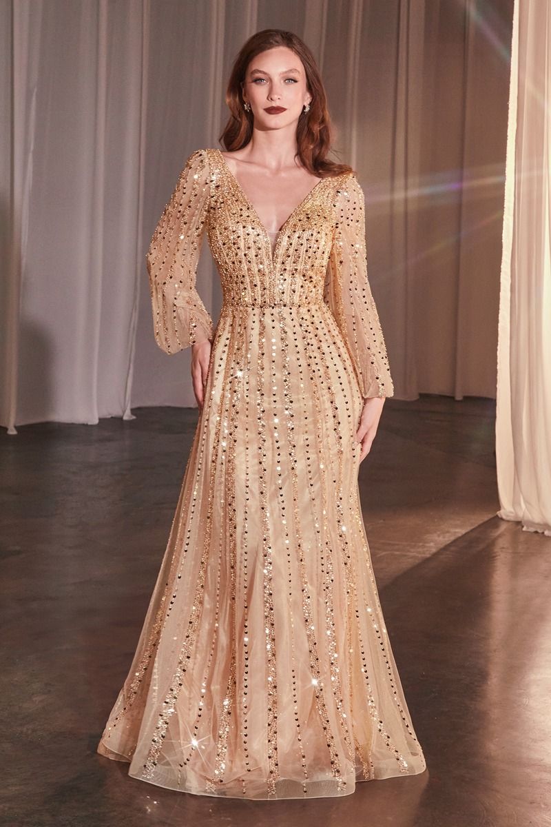 Shimmering V-Neck Long Sleeve A-Line Gown with Sequin Embellishments  CDCD0240