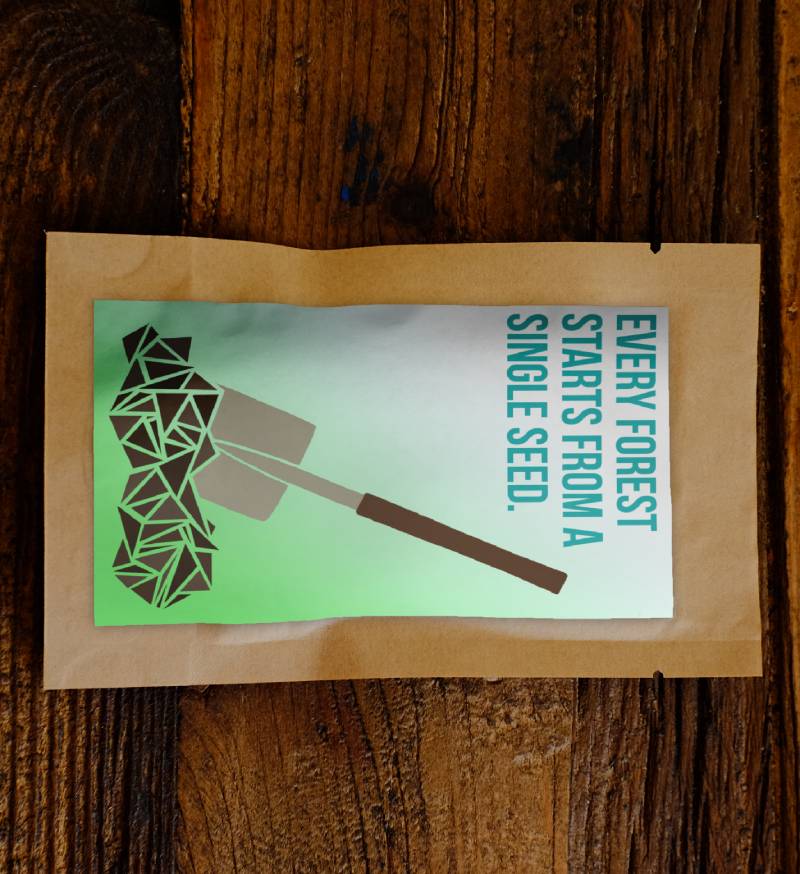Every Forest Starts From a Single Seed - Plants 50 Trees-1