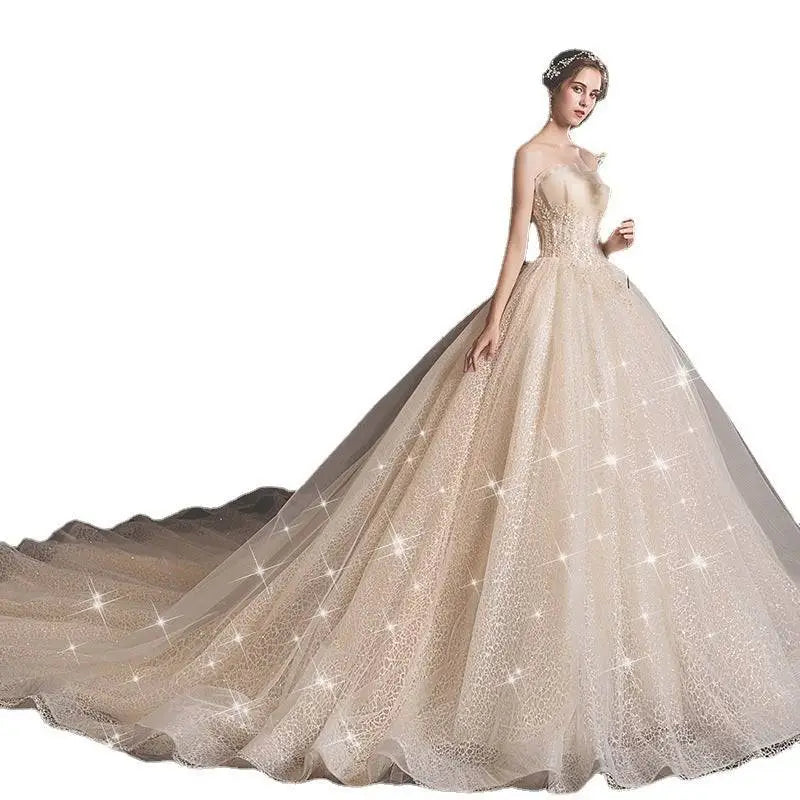 Champagne Lace Wedding Gown for Pregnant Woman
