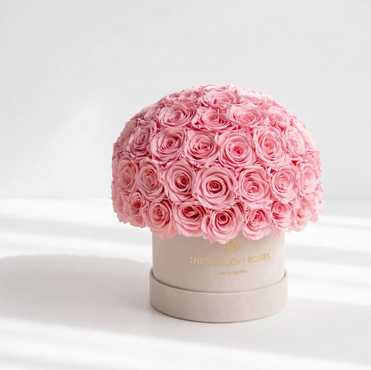 Classic Beige Suede Superdome Box | Light Pink Roses