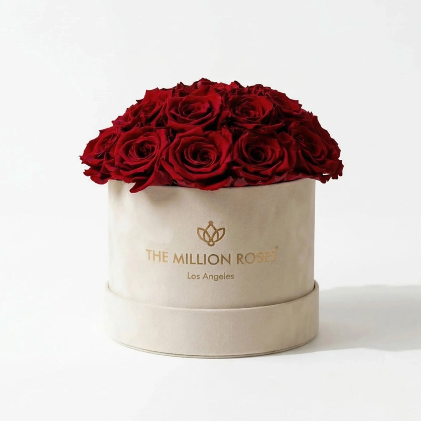 Classic Beige Suede Dome Box | Red Roses