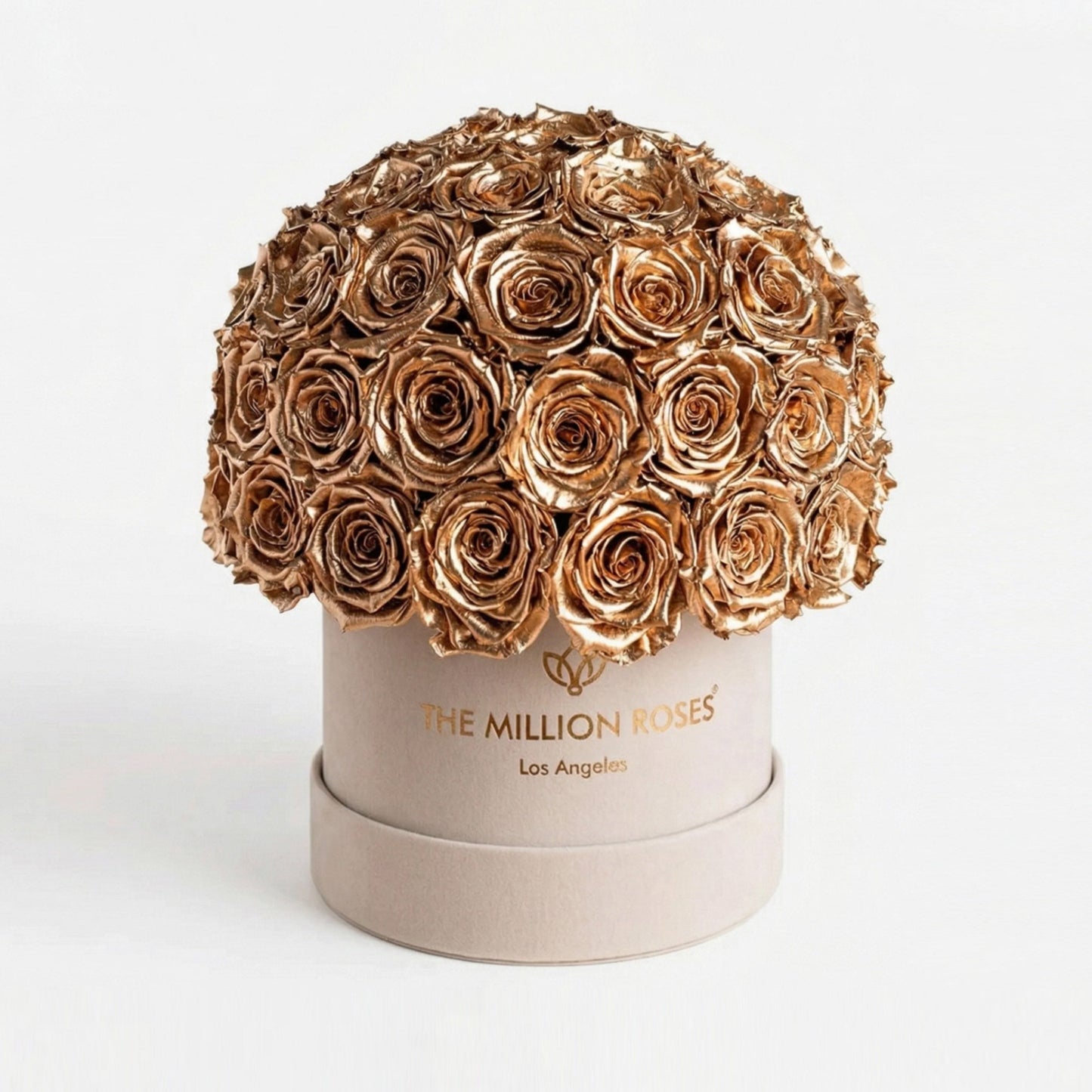 Classic Beige Suede Superdome Box | Gold Roses