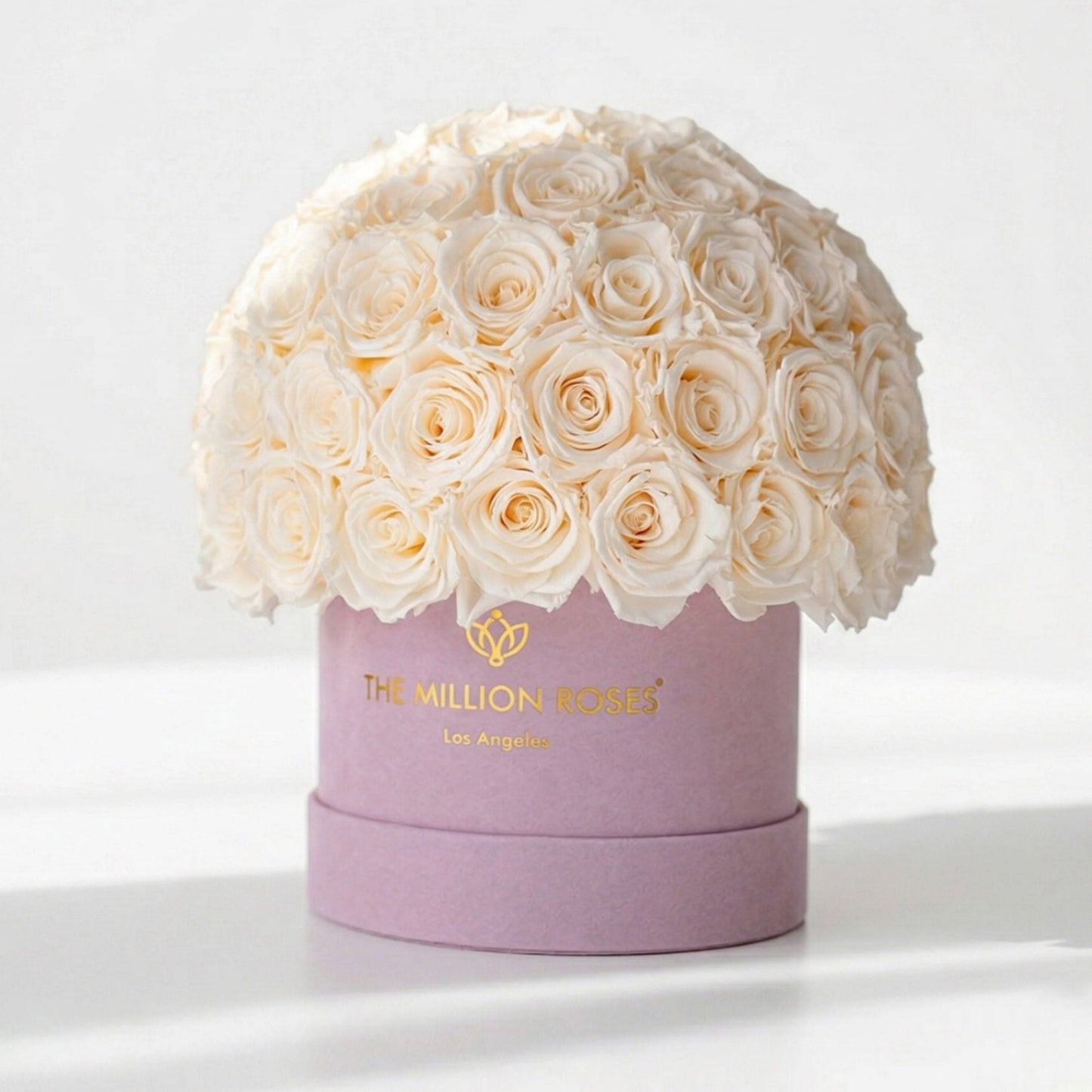 Classic Light Pink Suede Superdome Box | White Roses