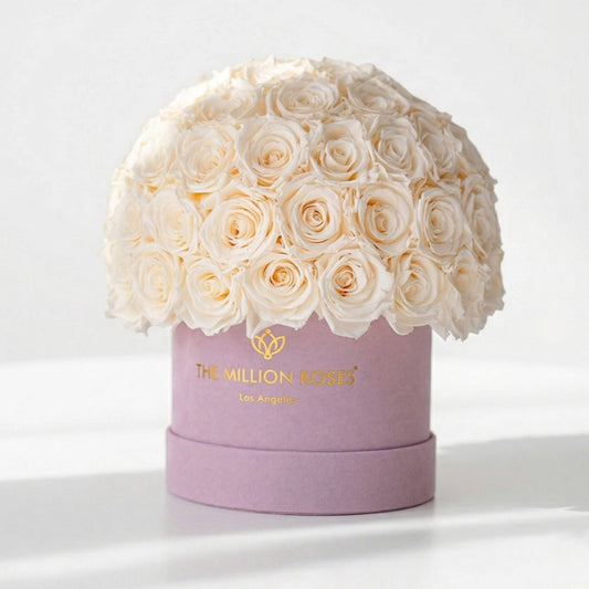 Classic Light Pink Suede Superdome Box | White Roses