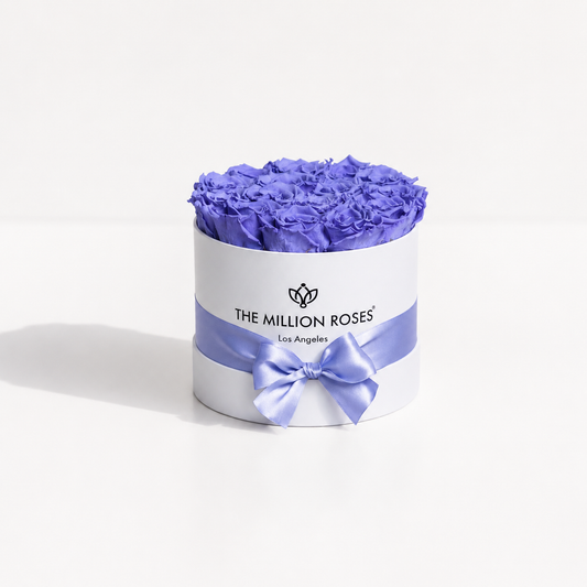 Classic White Box | Violet Roses