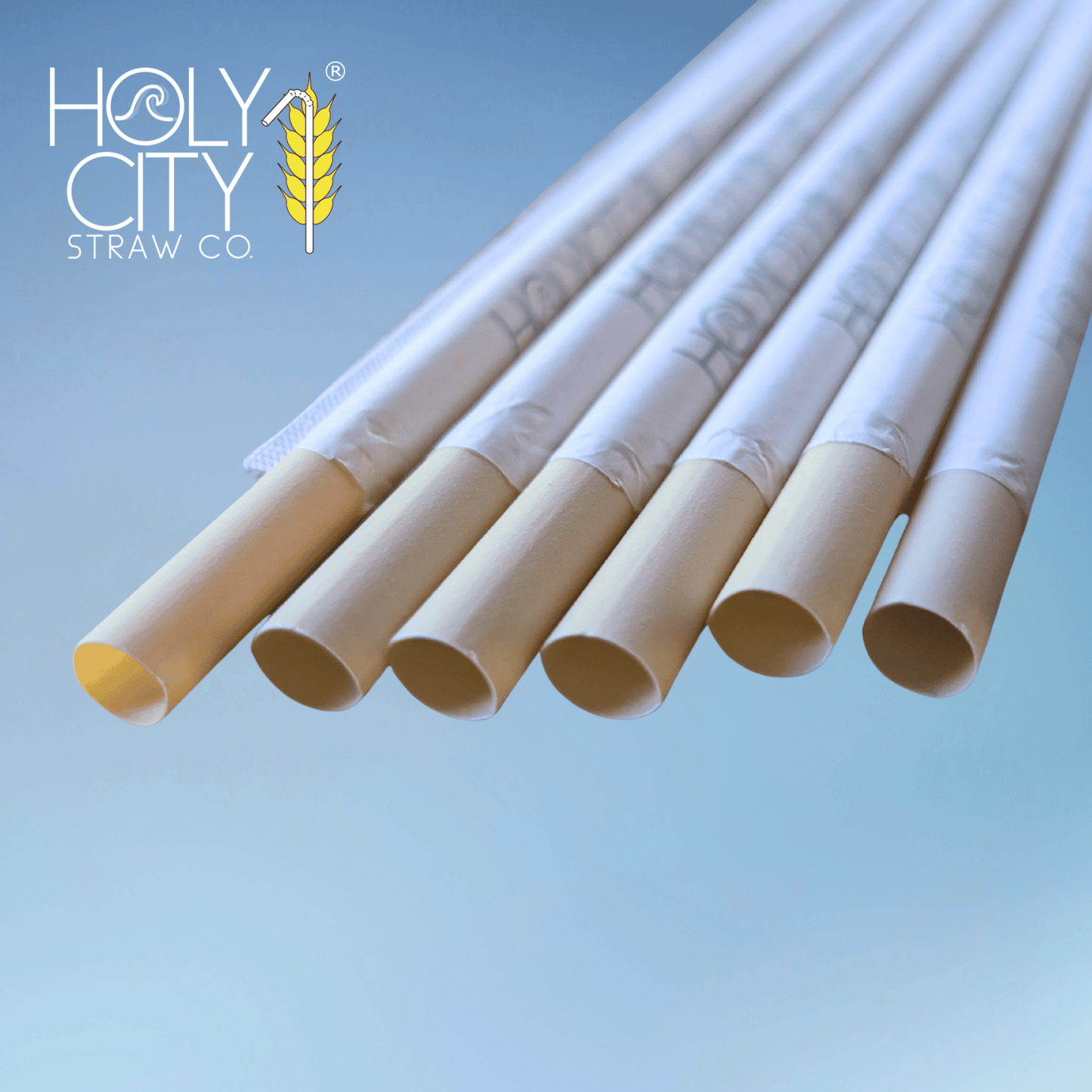7.9" Wrapped Bamboo Fiber Straws | 8mm-1