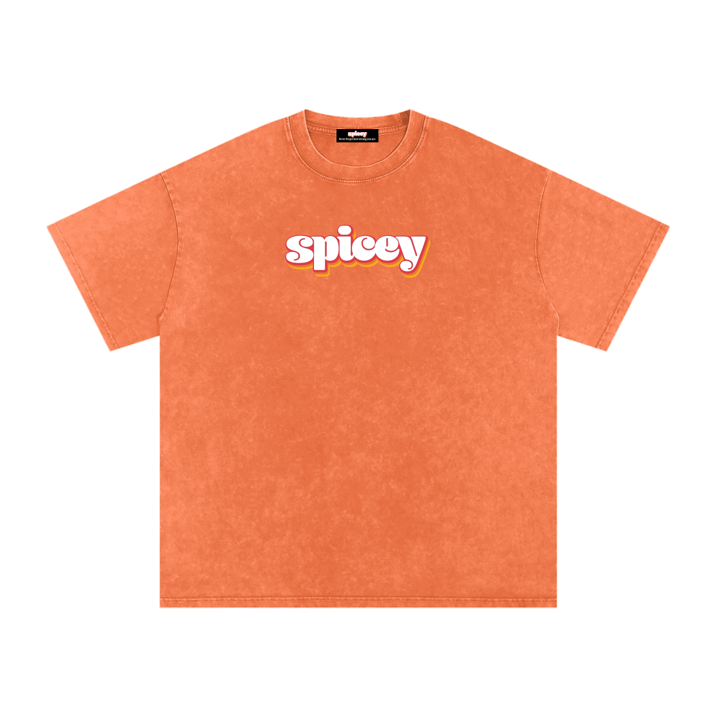 Spicey Vintage Logo Oversized T-Shirt-4