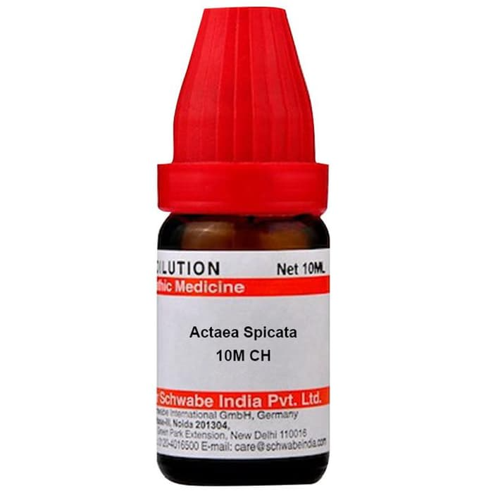 Dr. Willmar Schwabe India Actaea Spicata Dilution