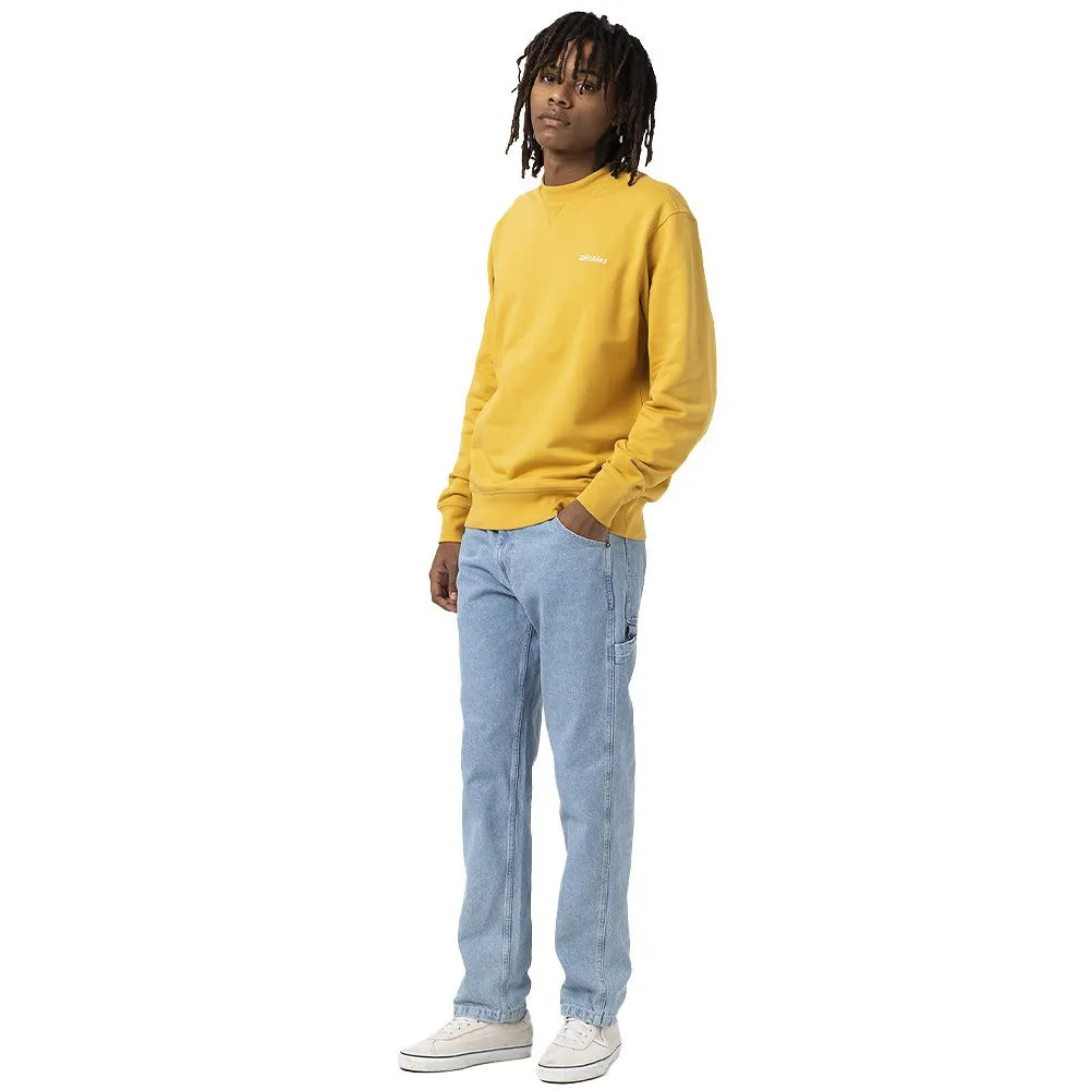 DICKIES - Men's Garyville jeans