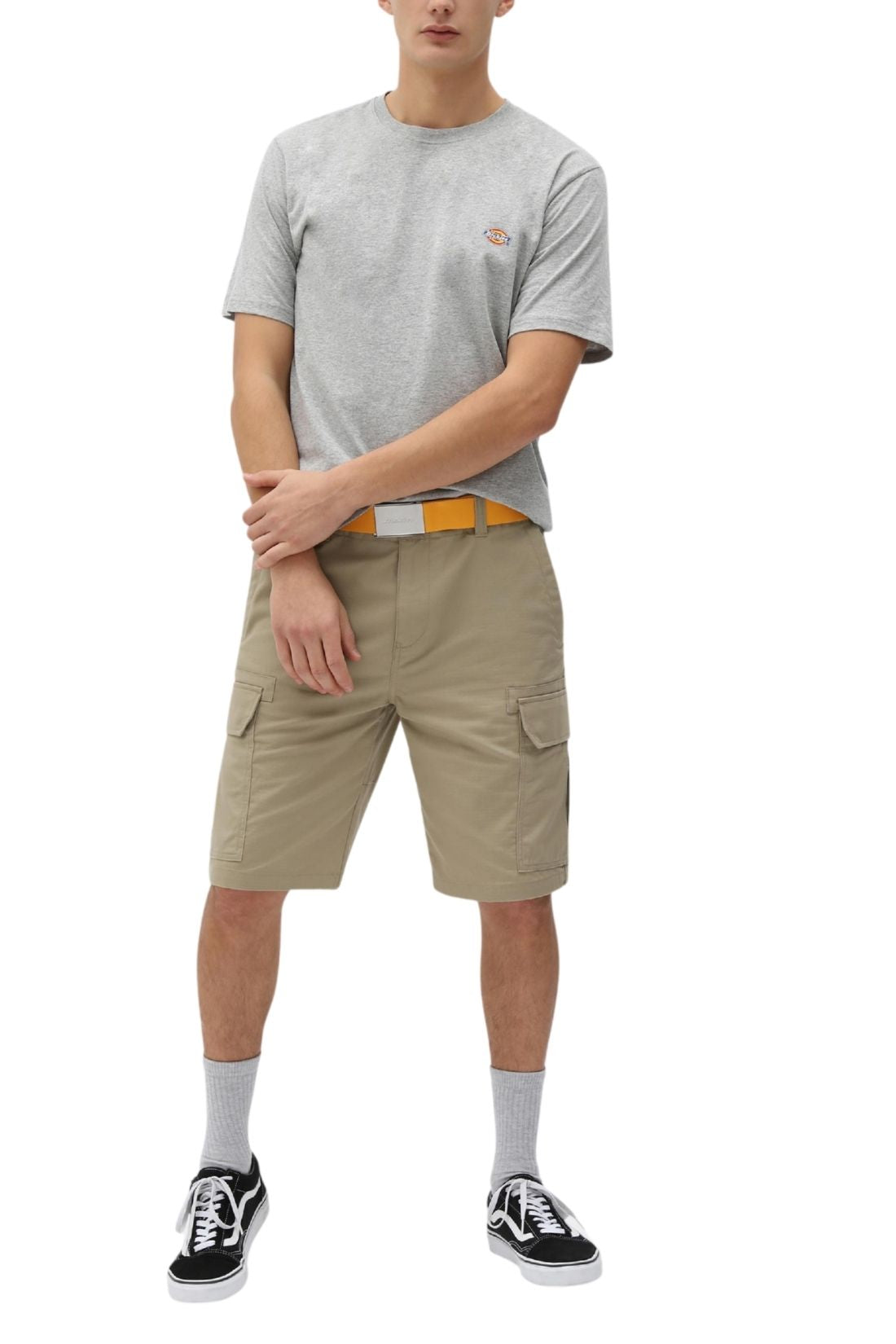 DICKIES - Men's Mapleton T-shirt  - Size XXL-1