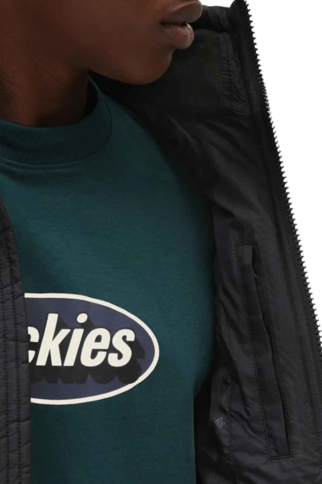 DICKIES - Piumino uomo waldenburg idrorepellente - Taglia XXL-4