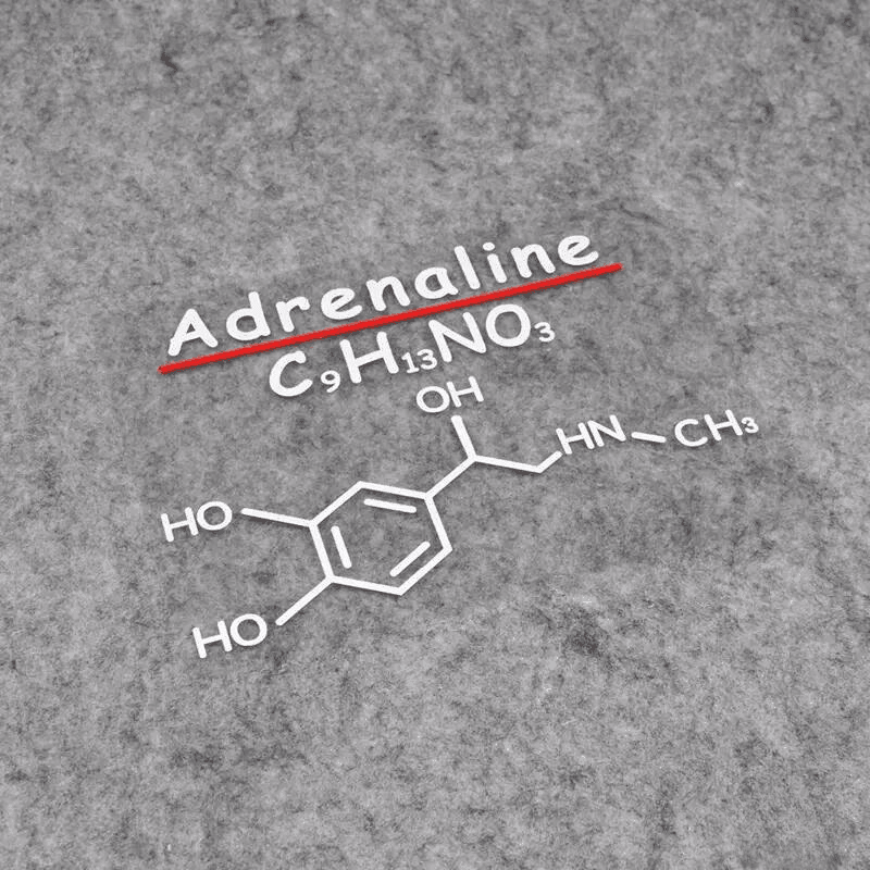 Dopamine, Adrenaline, Caffeine chemical formulas stickers
