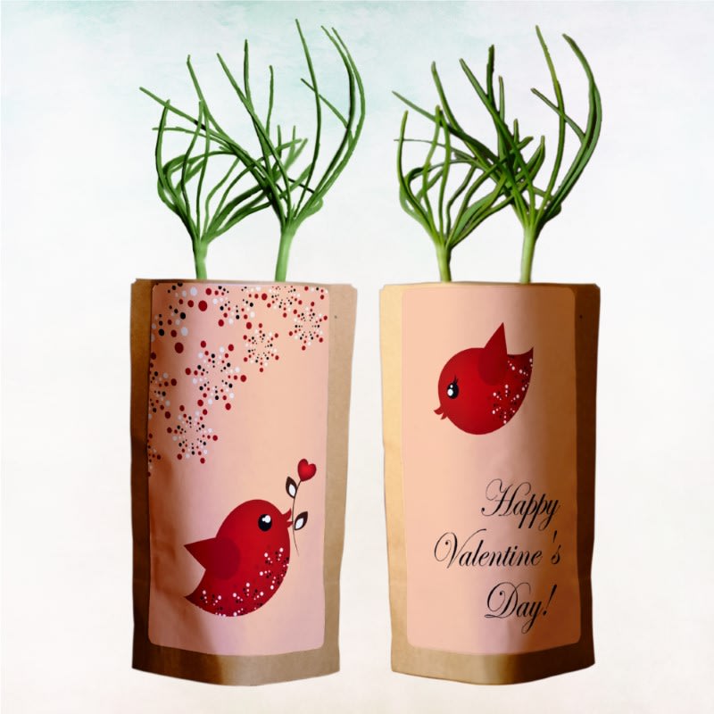 Happy Valentine's Day-0