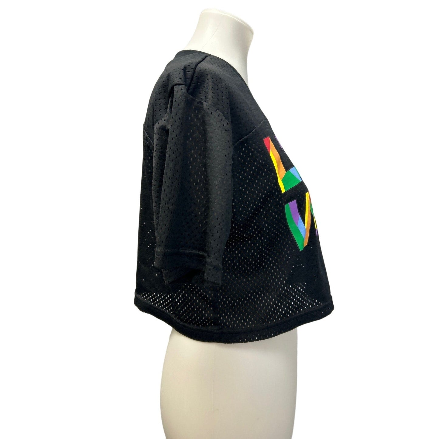 Well Worn Womens Small Love Wins Cropped Jersey Rainbow Athletic Jersey Shirt