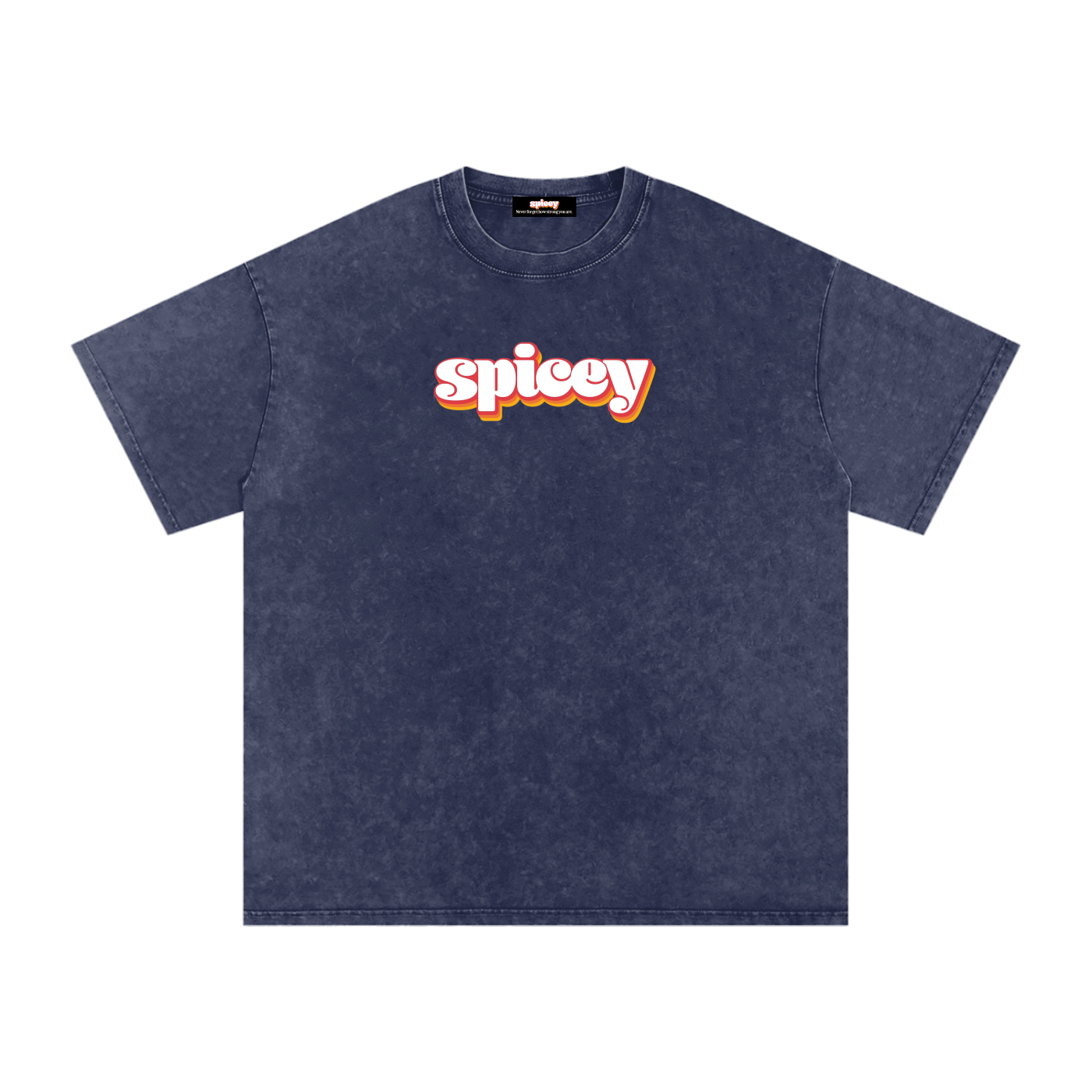 Spicey Vintage Logo Oversized T-Shirt-6